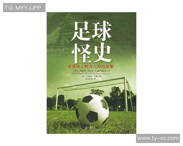 每个足球的故事与梦想在绿茵场上交织成的精彩瞬间与情感旅程